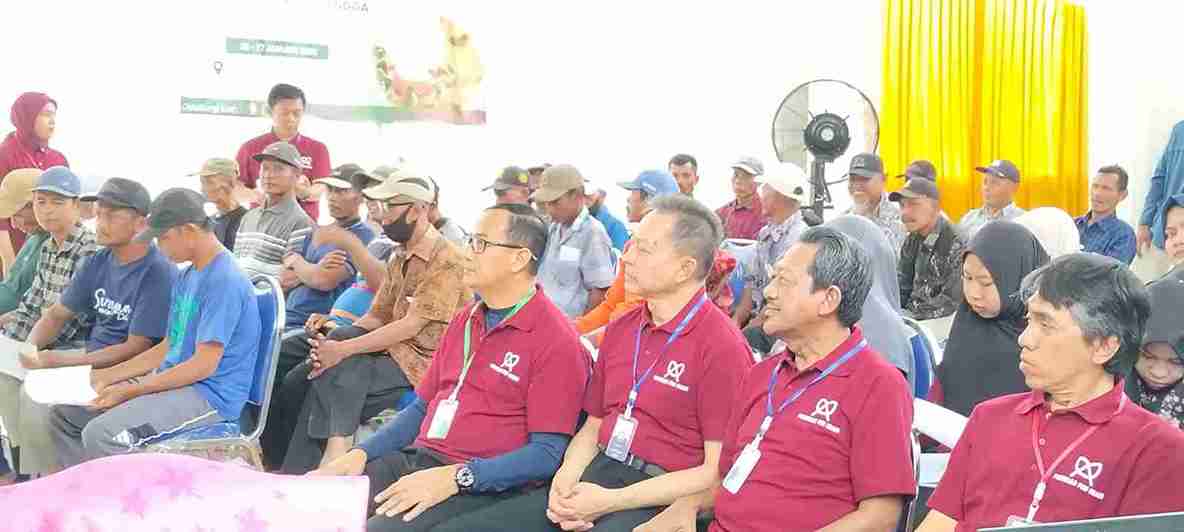 FKH Unair Gandeng Disnakkan, Tingkatkan Reproduksi dan Kesehatan Ternak