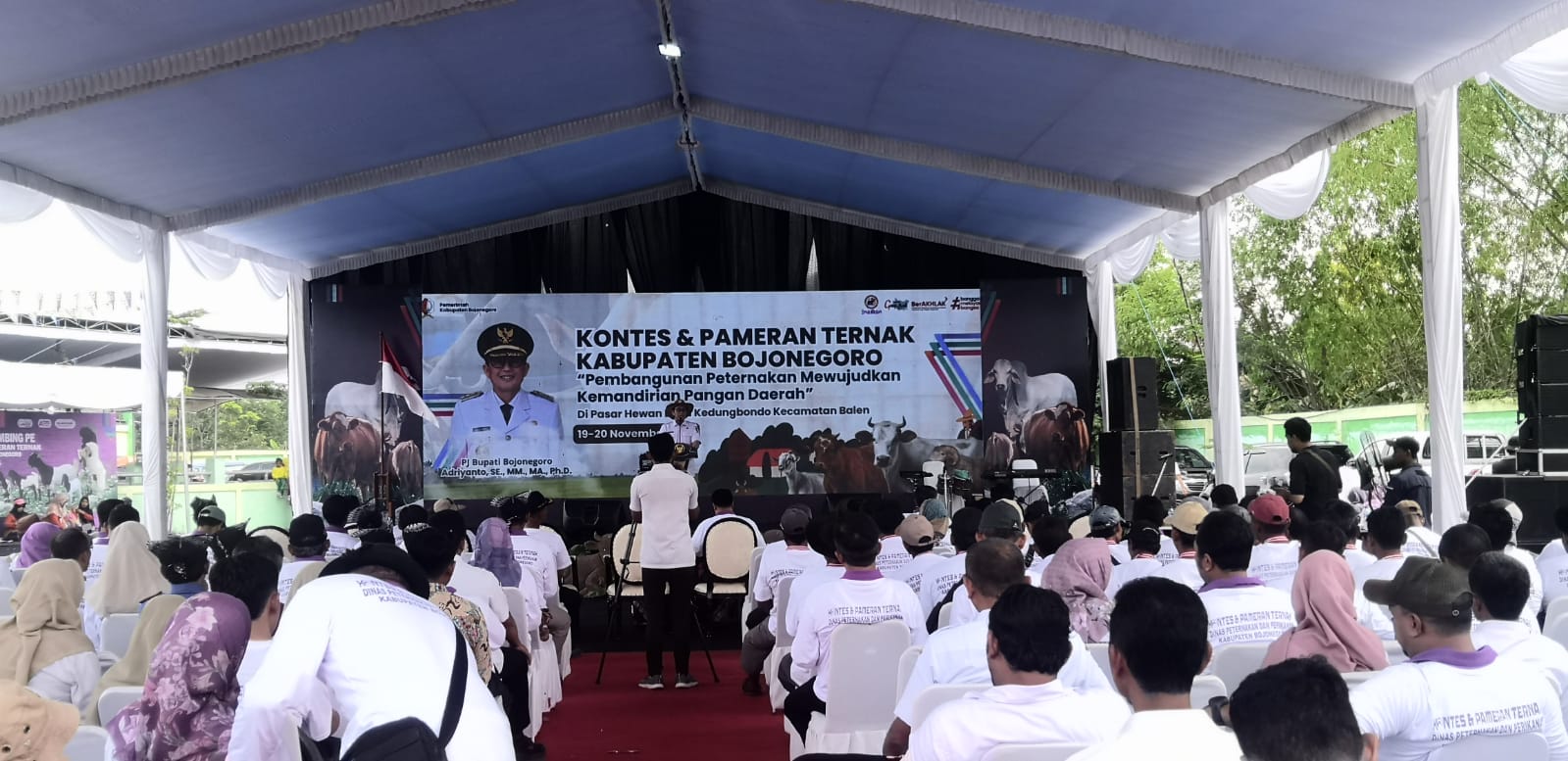 Kontes dan Pameran Ternak 2024