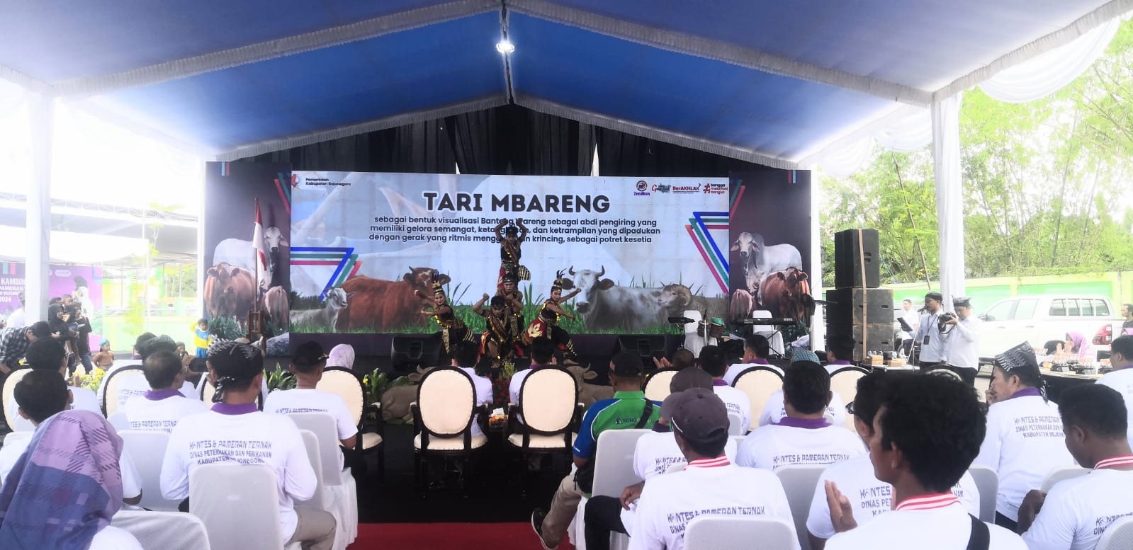 Kontes dan Pameran Ternak 2024