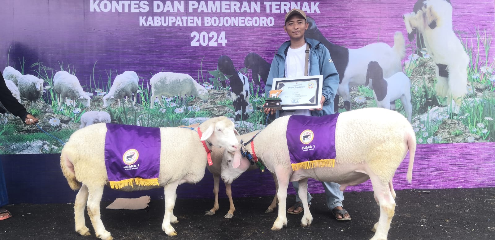 Kontes dan Pameran Ternak 2024