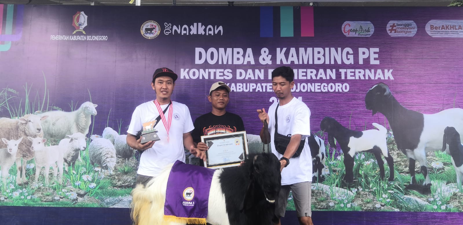 Kontes dan Pameran Ternak 2024
